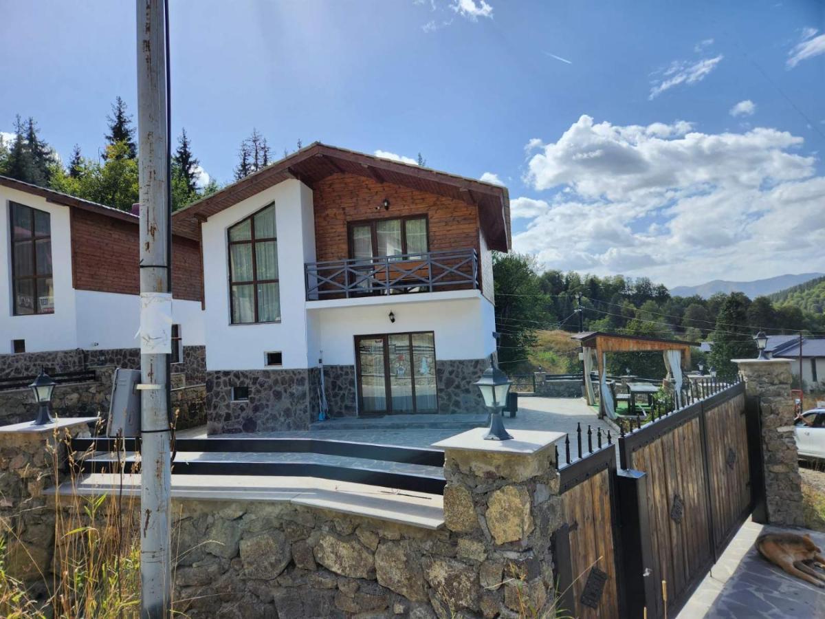 Villa In Mountains Bakuriani Exterior photo
